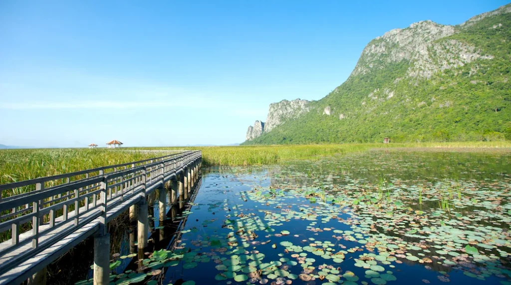 57984 Khao Sam Roi Yot National Park